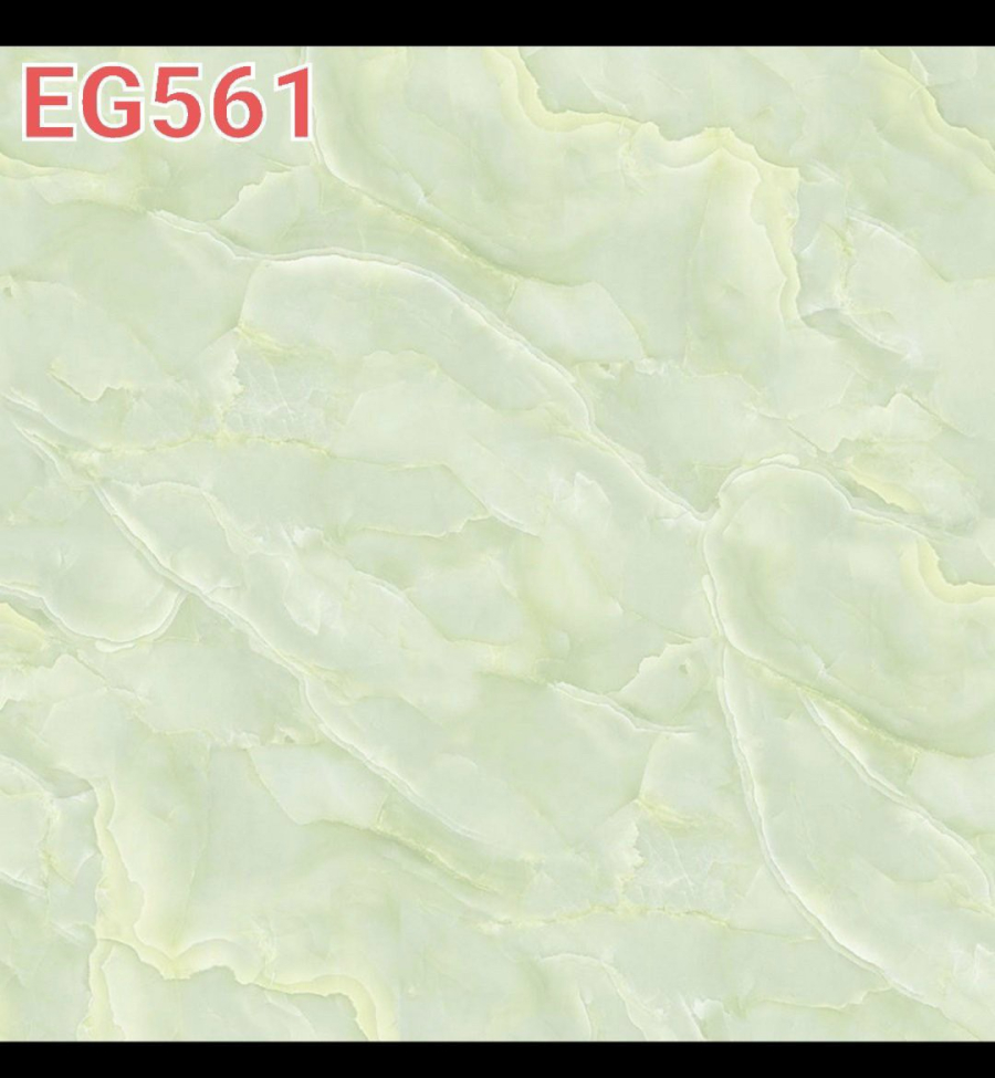 EG561