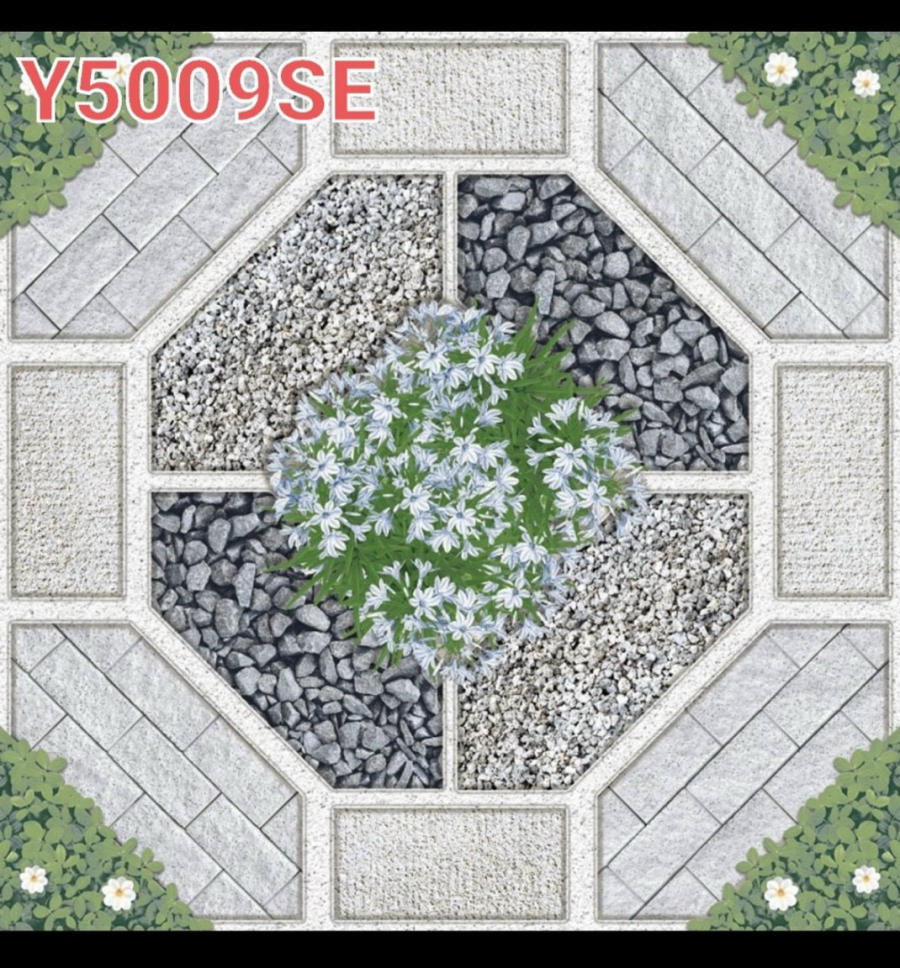 Y5009 SE